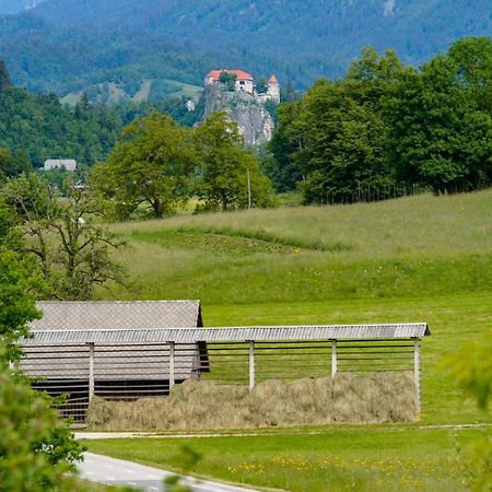 Apartment Arh Bled Exterior foto